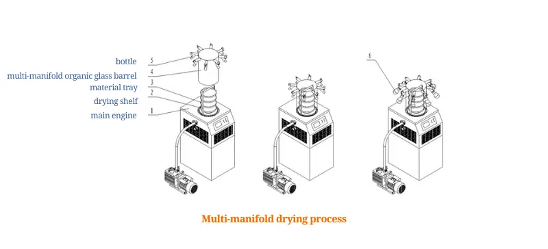 How to Use a Laboratory Freeze Dryer practical tips AELAB 