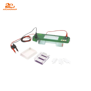 SPAT-Horizontal-Electrophoresis-Tank.