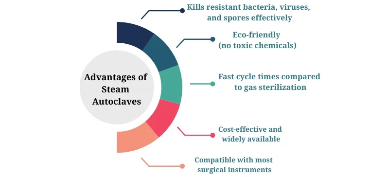 Advantages of Steam Autoclaves AELAB